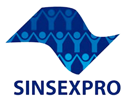 SINSEXPRO